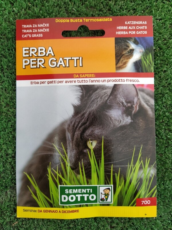 Erba gatta - Busta semi