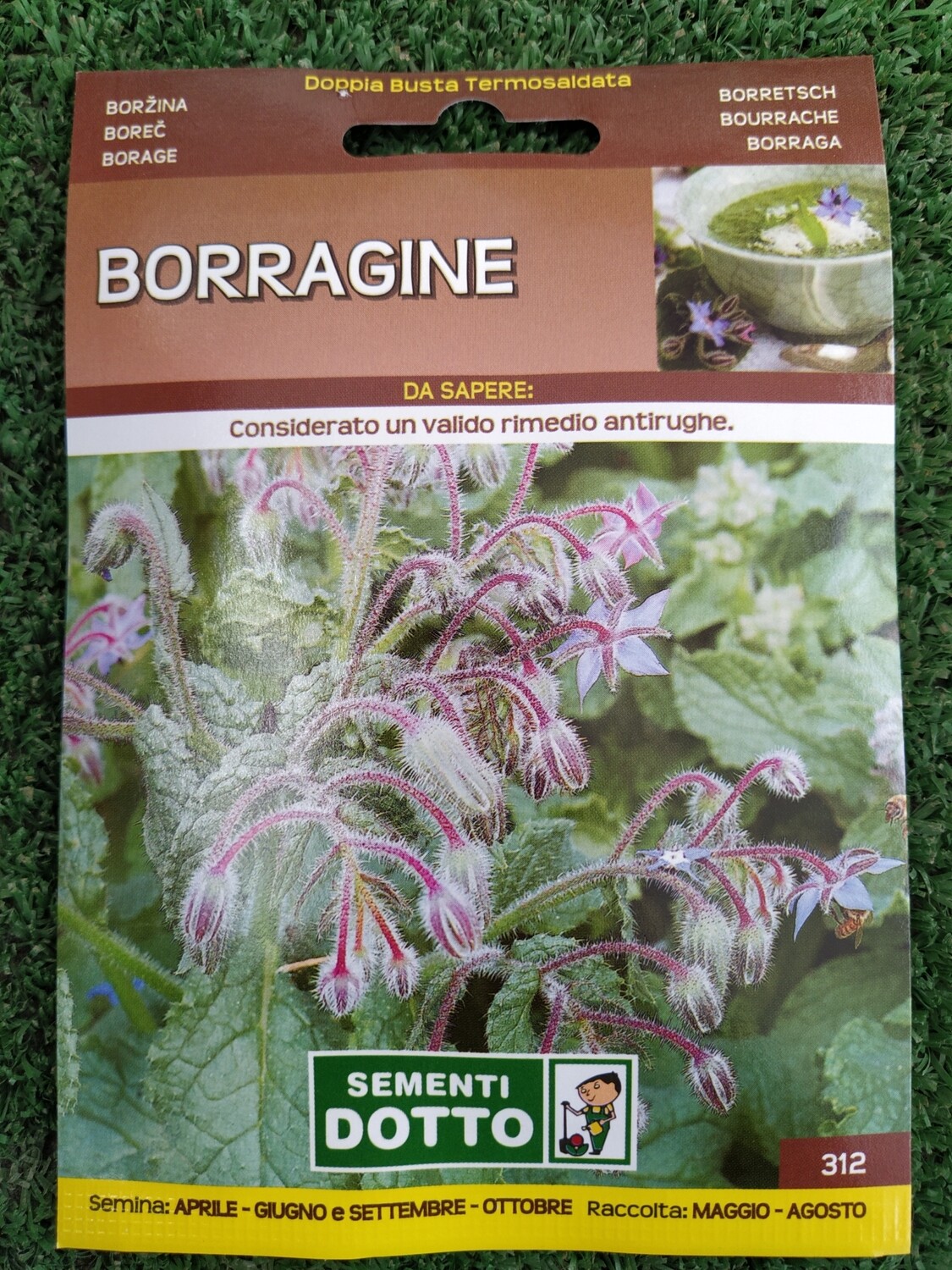 Borragine - Busta semi