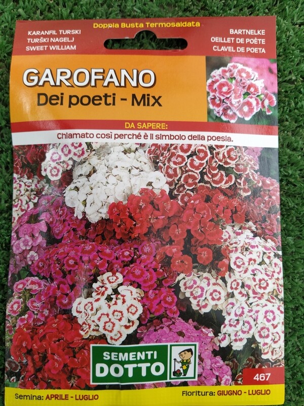 Garofano dei poeti mix - Busta semi