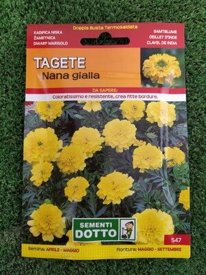 TAGETE NANA GIALLA BUSTA SEMI