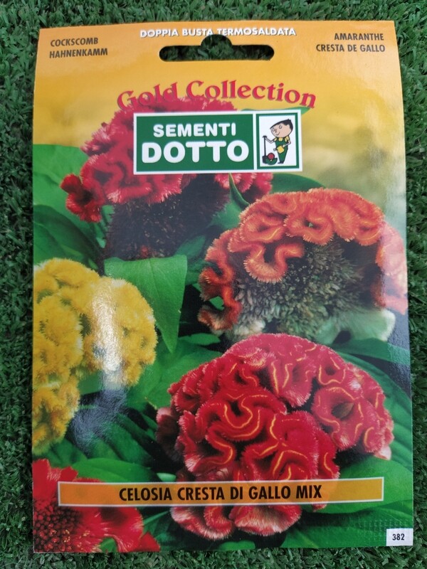 Celosia argentea var. cristata, Celosia Cresta di Gallo - Busta semi