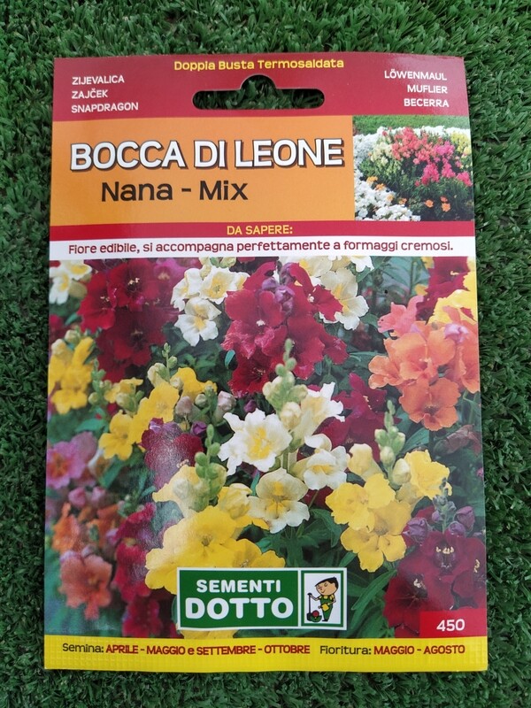 Bocca di Leone Nana mix -Busta semi
