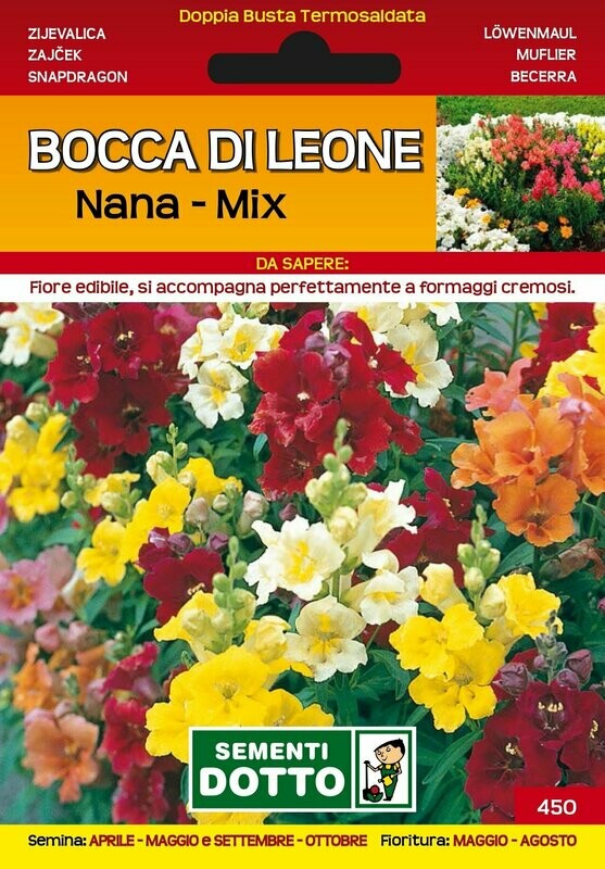 Bocca di Leone Nana mix -Busta semi