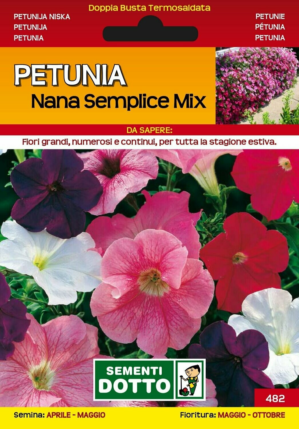 Petunia Nana semplice Mix busta semi