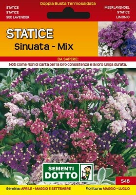 STATICE SINUATA MIX BUSTA SEMI