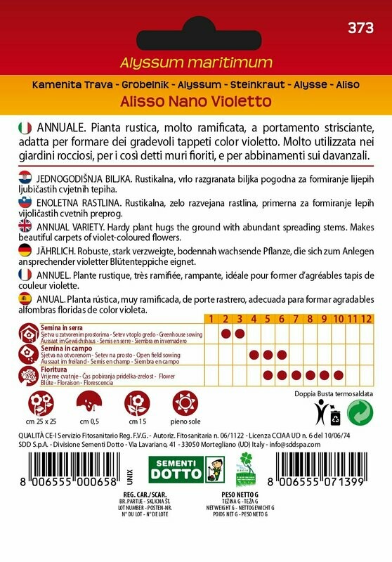 Alyssum mairitimum, Alisso nano violetto - Busta semi