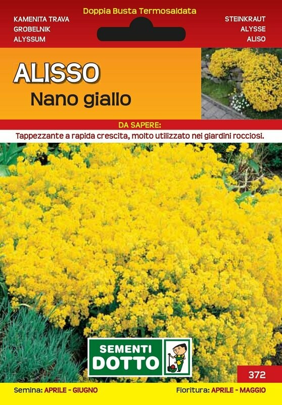 Alisso nano giallo, Alyssum - Busta semi