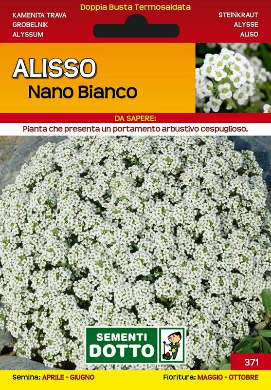 Alisso nano bianco, Alyssum - Busta semi