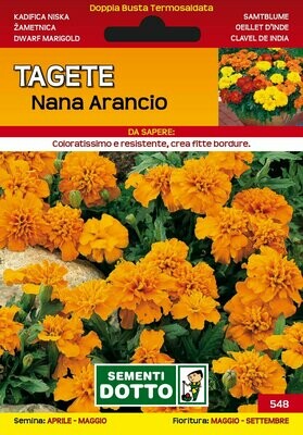 TAGETE NANA ARANCIO BUSTA SEMI