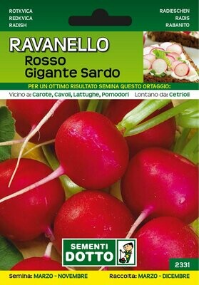 RAVANELLO ROSSO GIGANTE SARDO BUSTA SEMI