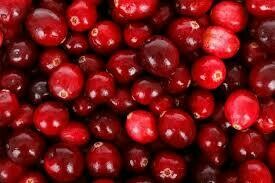 Mirtillo Rosso &#39;Pilgrim&#39;, Vaccinium macrocarpon, Cranberry - vaso prof. 13 cm