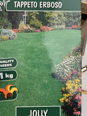 Semi per Tappeto Erboso Jolly 1 KG Loietto Festuca Poa, sementi, semenza per prato.