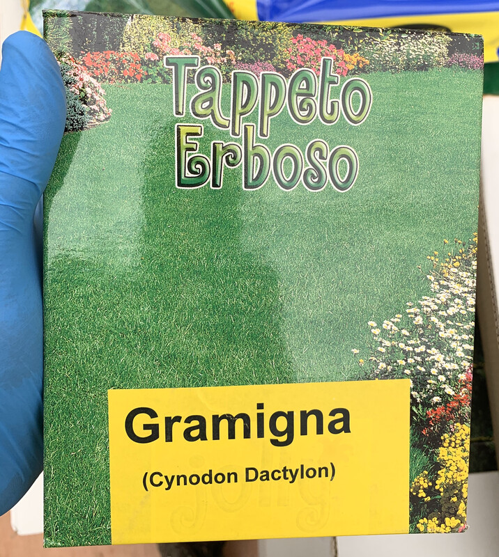 Seme di Gramigna 0,5 kg  Cynodon Dactylon SEMENTI SEMENZA
