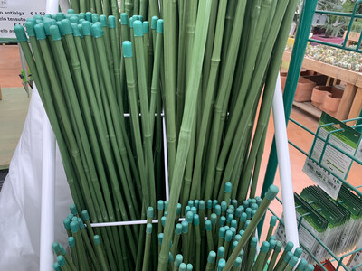 Canna Bamboo Bambù PLASTIFICATO Tutore pianta/orto Bastone Bastonicini Bastoncino