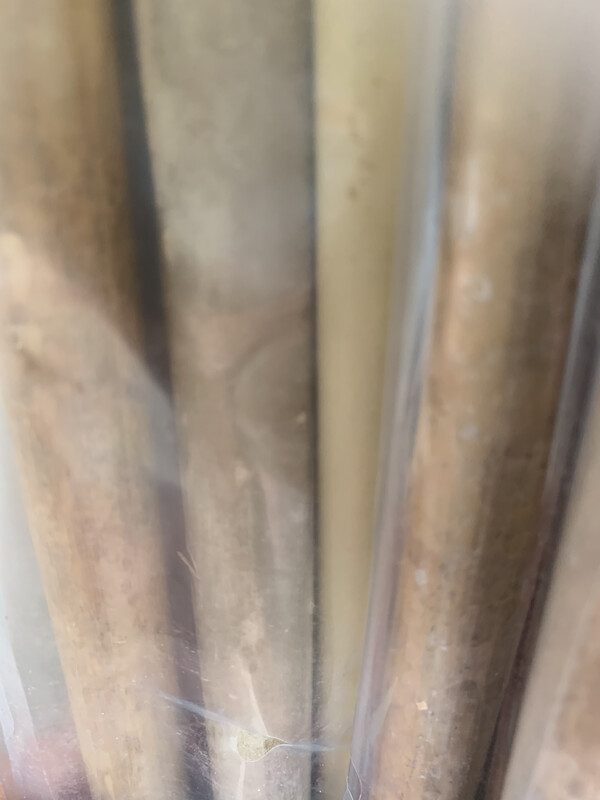 Canna Bambù Bamboo h 120 cm Ø1 cm (tutore per shelter e piantine forestali e orto)