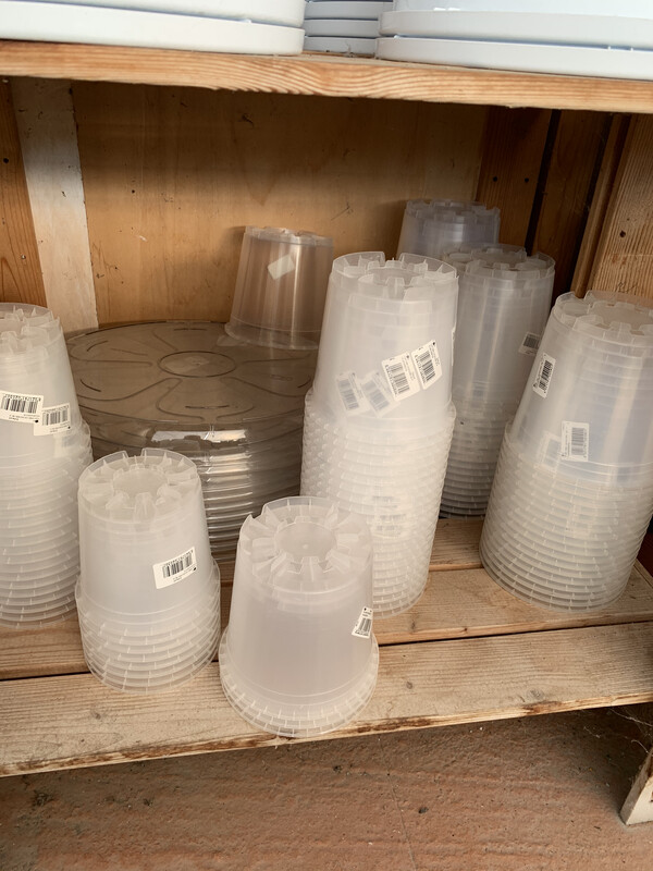VASO TRASPARENTE PER ORCHIDEE
