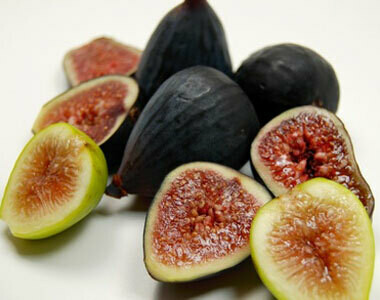 Fico Turca Buccia Nera - Ficus carica &#39;Turca Buccia Nera&#39; - v25