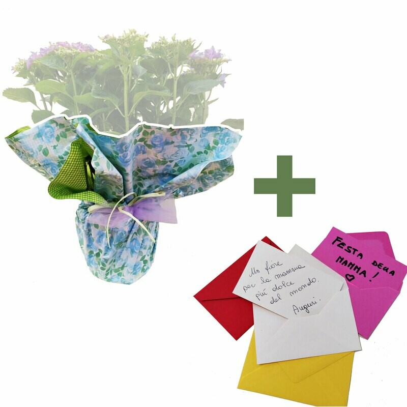 Confezione Regalo + Biglietto con dedica scritta a mano