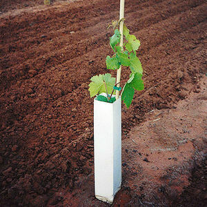 SHELTER - Protezione giovani piante