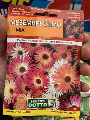 Mesembriatemo - Busta semi Mesembriatemo - Busta semi