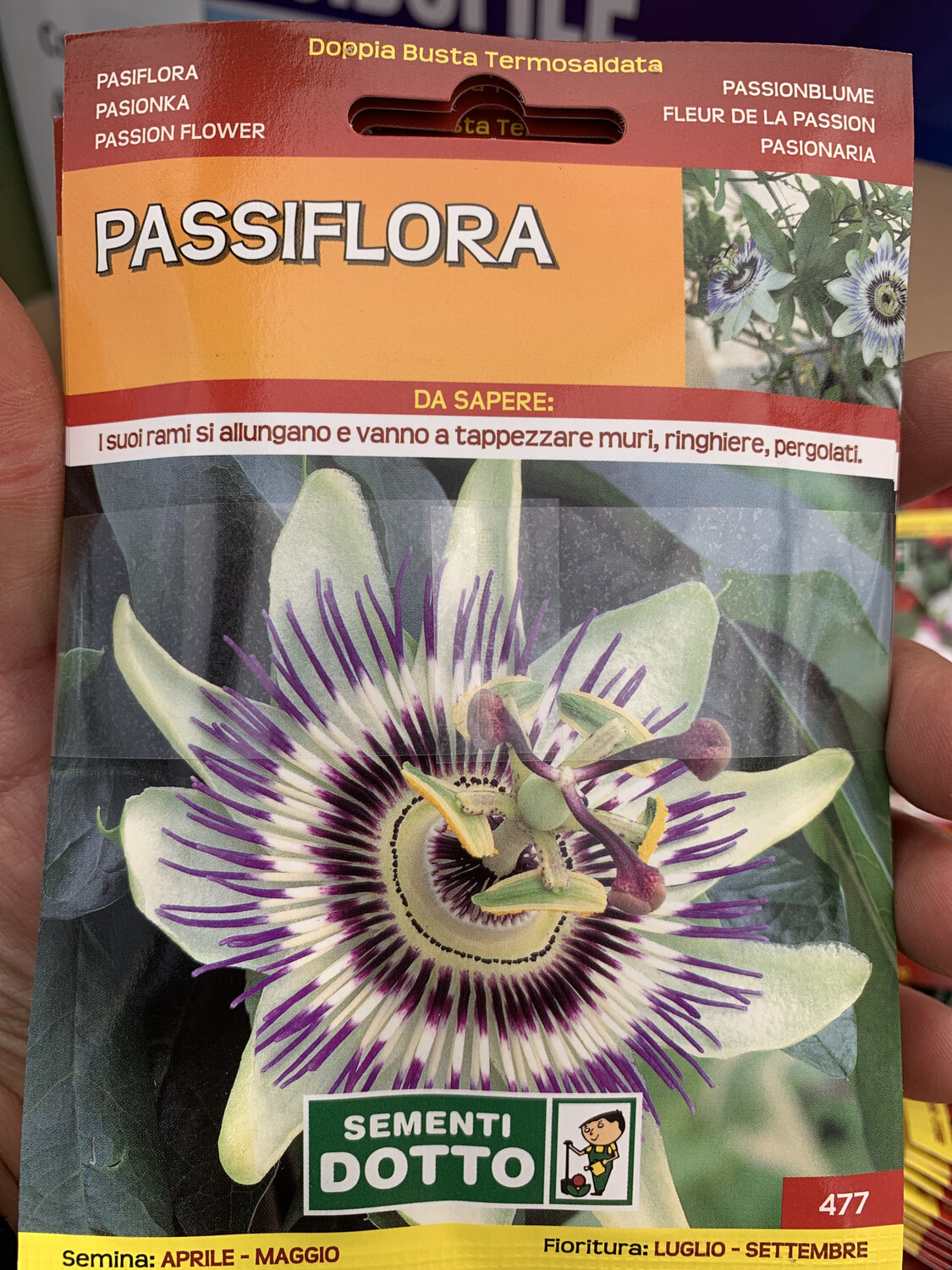 PASSIFLORA BUSTA SEMI