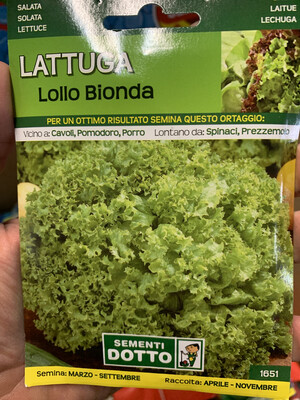 Lattuga lollo bionda - Busta semi Lattuga lollo bionda - Busta semi