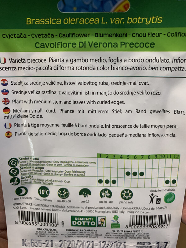 Cavolfiore di verona precoce - Busta semi