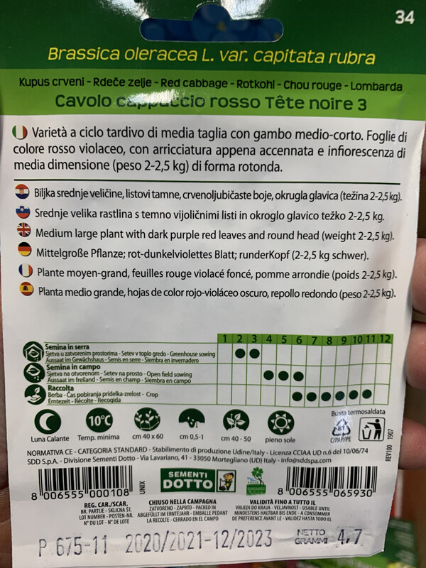 Cavolo cappuccio rosso - Busta semi
