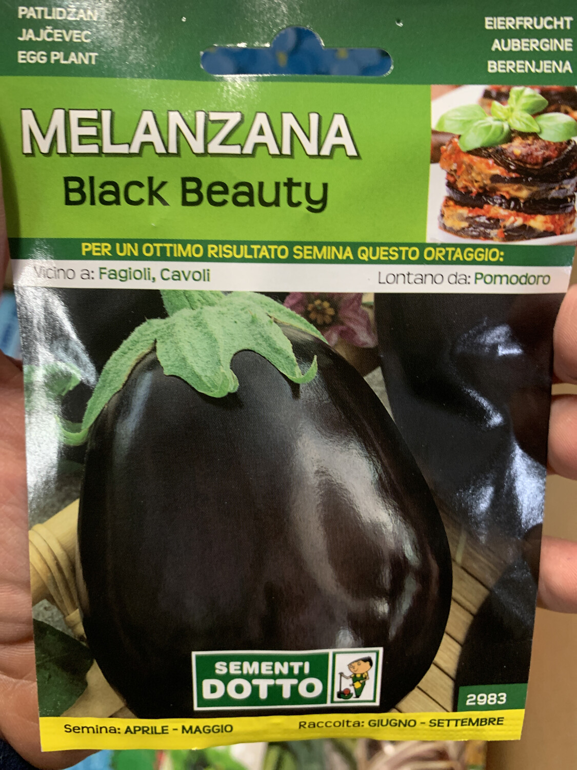 Melanzana black beauty tonda - Busta semi