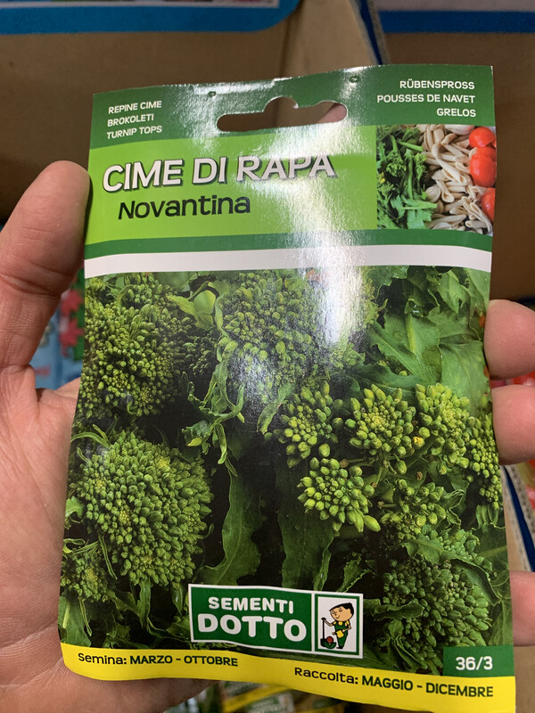 Cima di rapa novantina - Busta semi