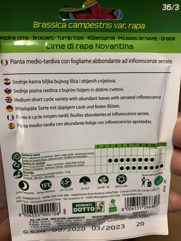 Cima di rapa novantina - Busta semi