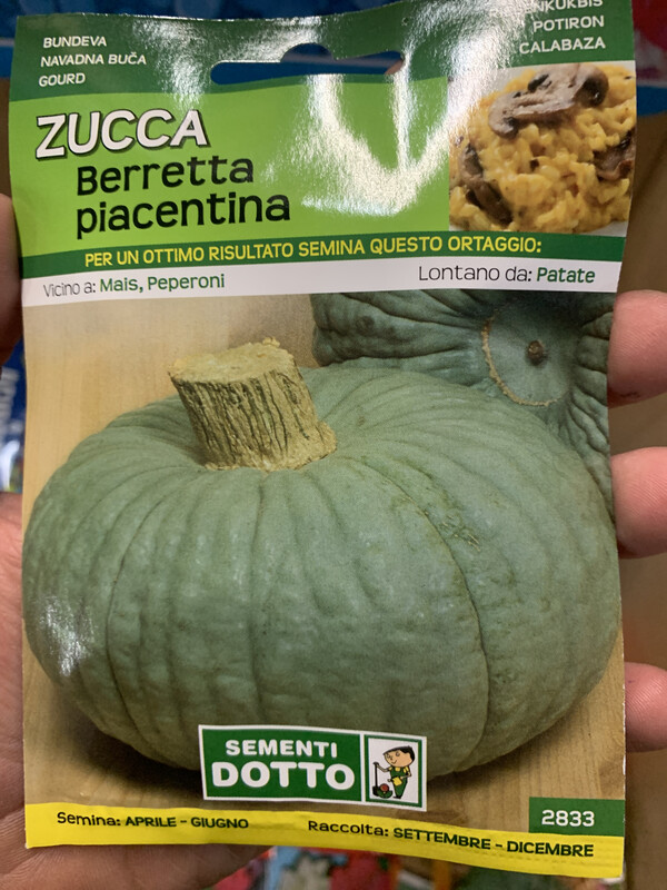 Cucurbita pepo, Zucca Berretta Piacentina - Busta semi Cucurbita pepo, Zucca Berretta Piacentina - Busta semi