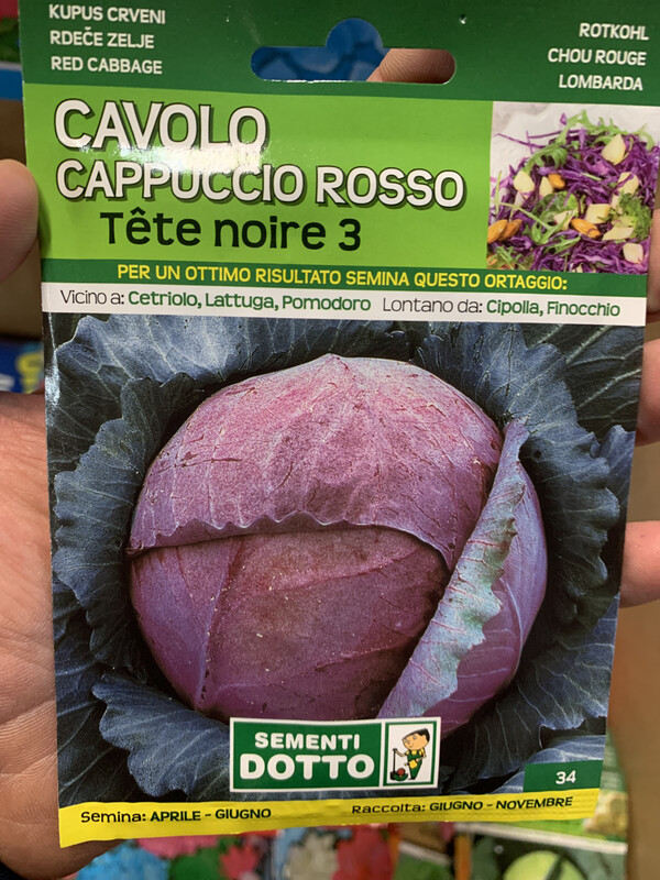 Cavolo cappuccio rosso - Busta semi