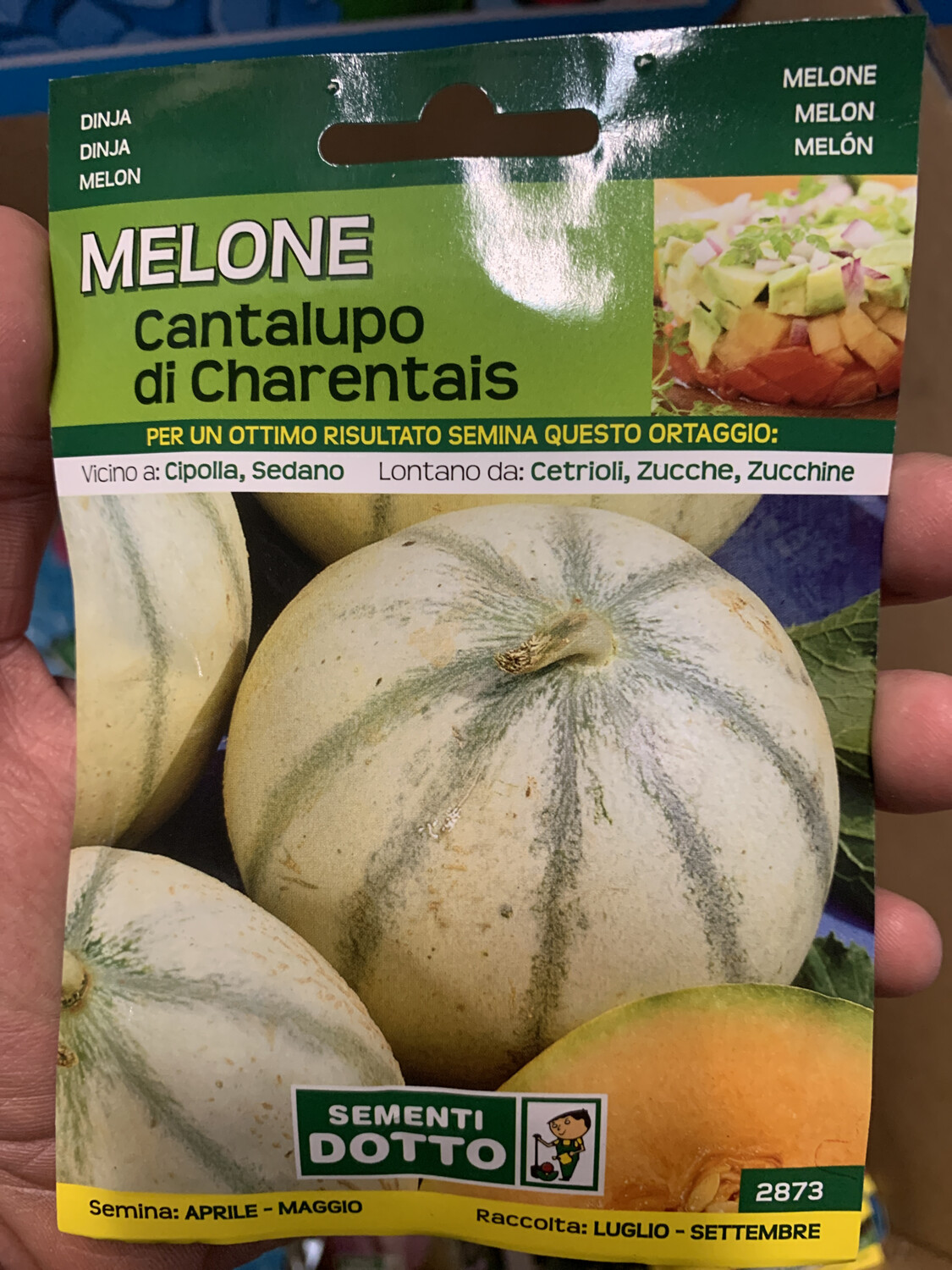 Melone liscio cantalupo BUSTA SEMI