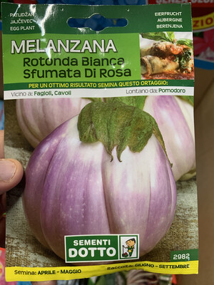 Melanzana rotonda bianca sfumata di rosa - Busta semi