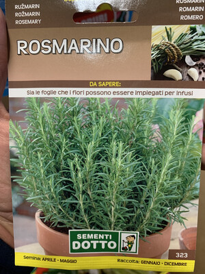 Rosmarino - Busta semi Rosmarino - Busta semi