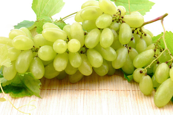 Vite da tavola Pizzutello bianco, Pizzutella bianca, Vitis vinifera L. 'Pizzutello Bianco'- In pack