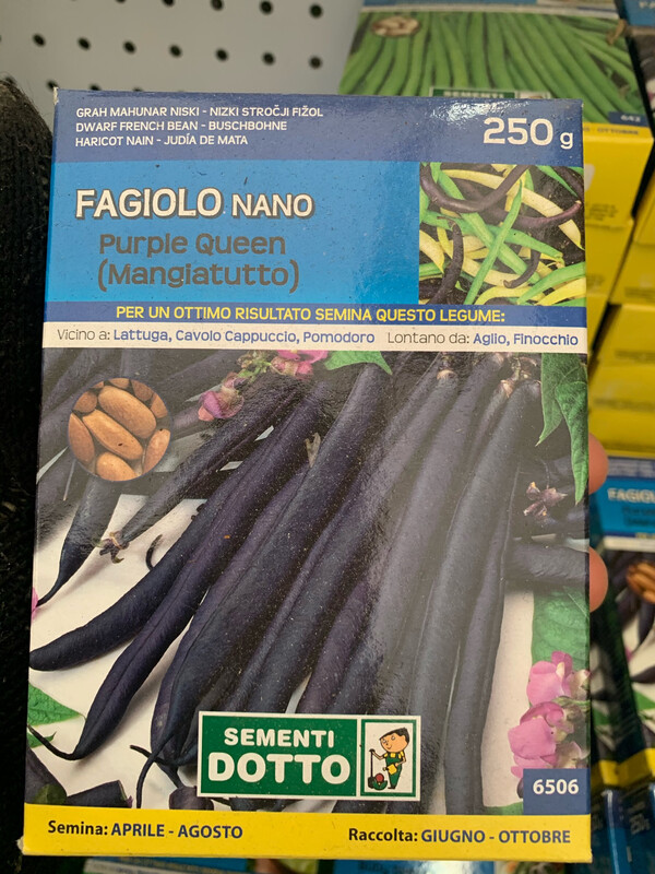 Fagiolino Nano Purple queen SCATOLA 250 grammi