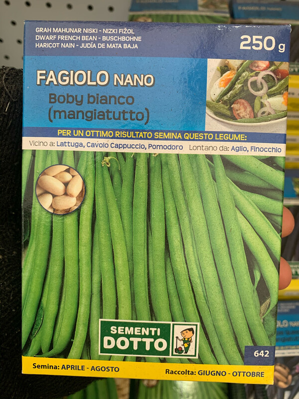 Fagiolino Nano Baby Bianco SCATOLA 250 grammi