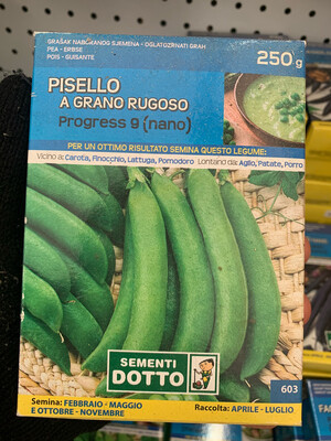 Pisello Nano Grano Rugoso Progress 9 SCATOLA 250 grammi