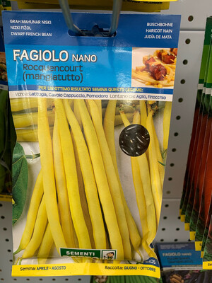 Fagiolino Nano Rocquencourt 250 grammi - Scatola semi