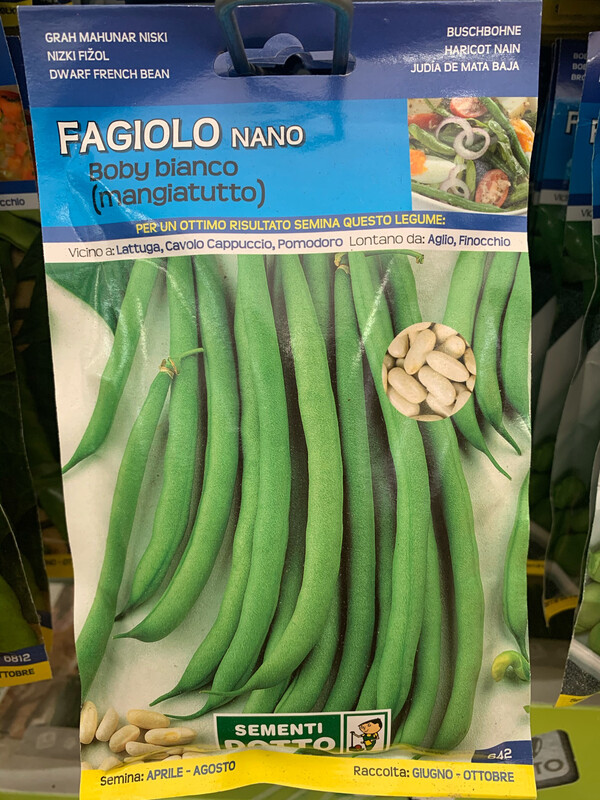 Fagiolino Nano Baby Bianco 95 grammi - Busta semi