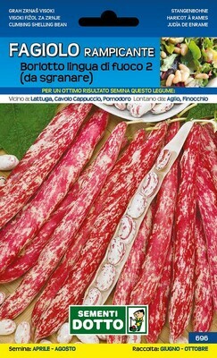 Fagiolo Borlotto Rampicante LINGUA DI FUOCO 250 grammi - Scatola semi