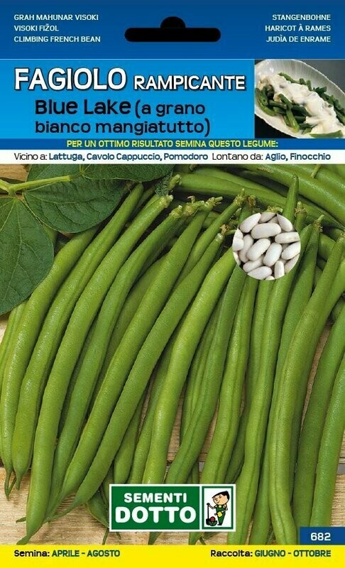 Fagiolino Nano Rampicante BLUE LAKE 250 grammi - Busta semi