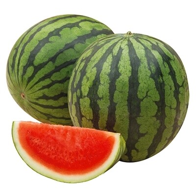 Anguria tonda - Cocomero tondo- Citrullus lanatus - v10