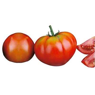 POMODORO CUORE DI BUE CLASSICO - Lycopersicon lycopersicum - conf. ORTO 4pz