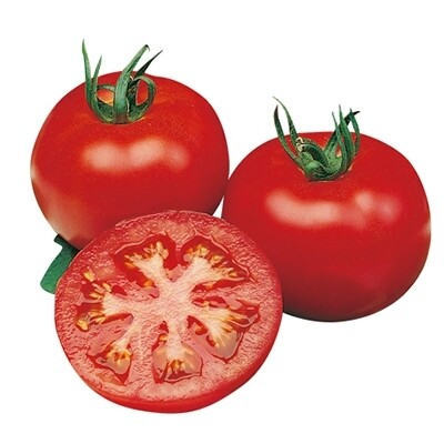 POMODORO TONDO INSALATARO - Lycopersicon lycopersicum - conf. ORTO 4pz