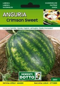 Anguria Crimson Sweet - Citrullus lanatus - busta semi