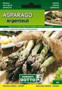 Asparago Argenteuil, Asparagus officinalis - Busta semi