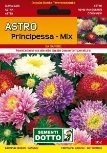 Astro Principessa - Aster - busta semi MIX